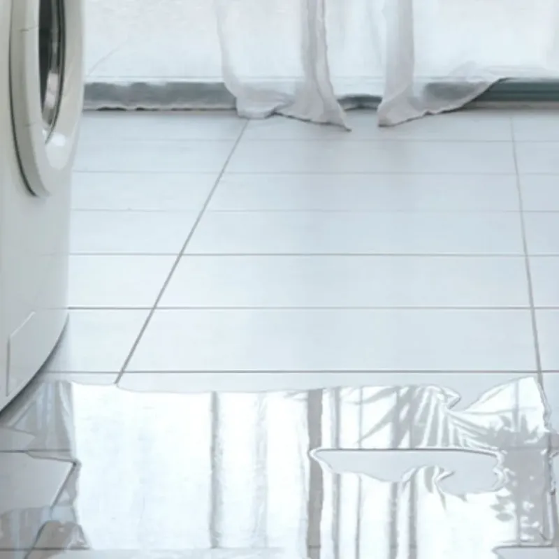 Appliance Leak Cleanup in Bainbridge, OH