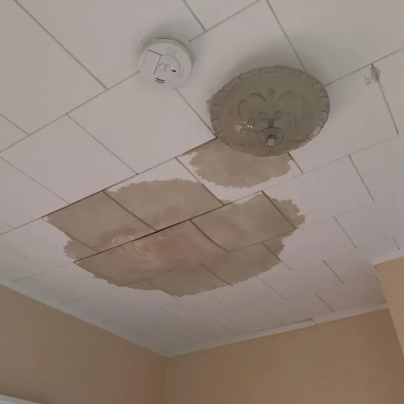 Ceiling Water Damage Repair in Bainbridge, OH