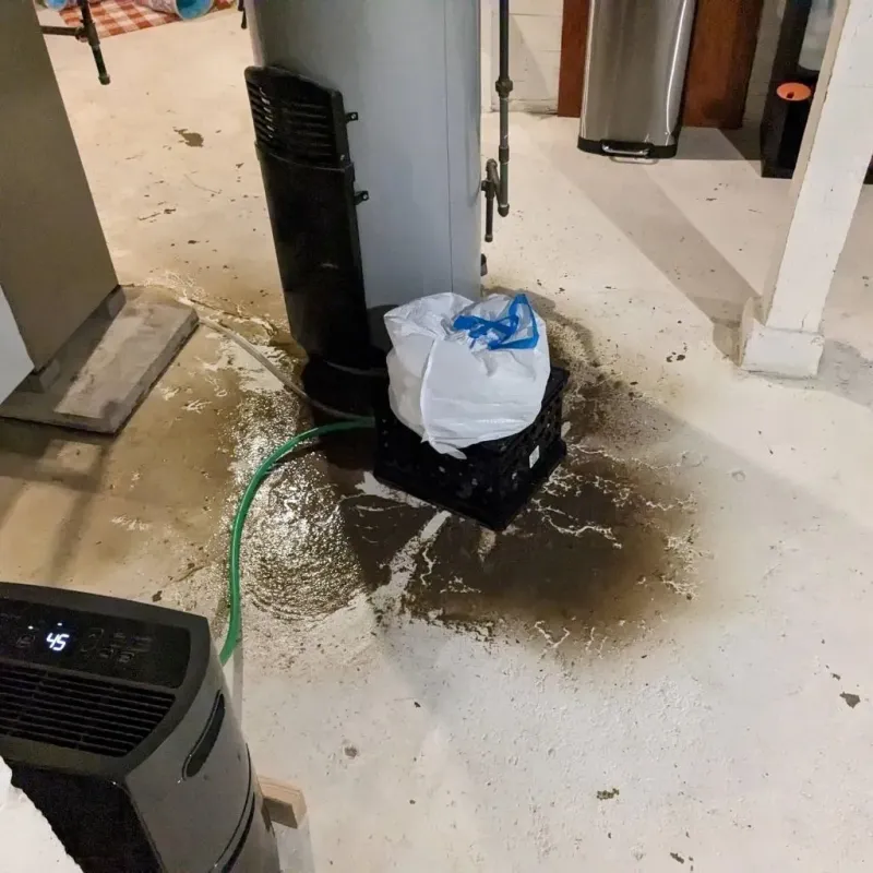 Sewage Backup Cleanup Service in Bainbridge, OH